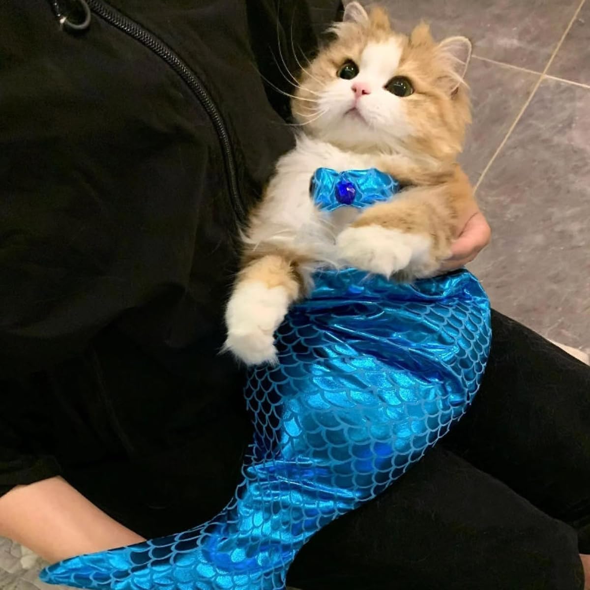 Cat & Dog Mermaid Costume