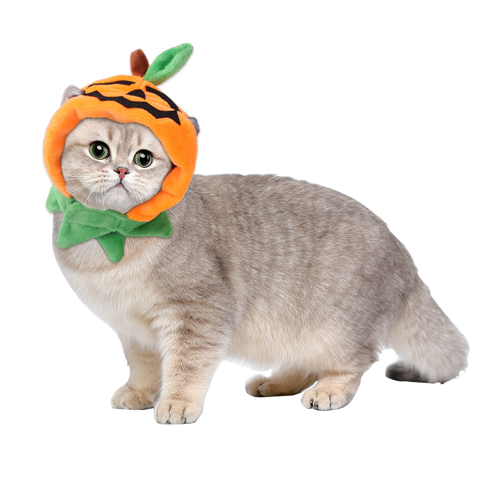 Curly Hair Funny Pet Hat