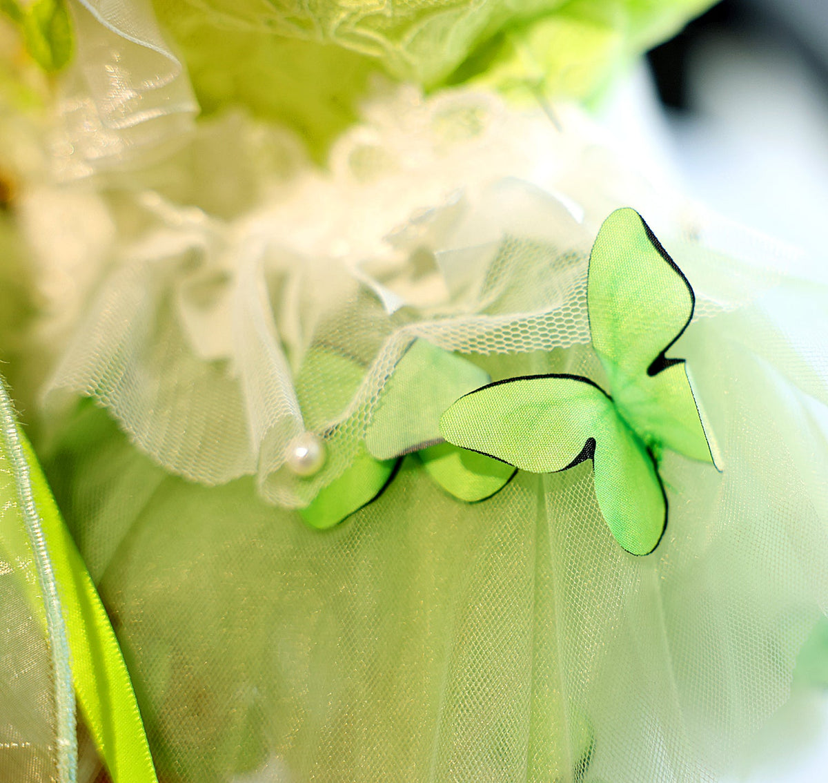 Butterfly Fairy Dog Tutu Dress with 3D Floral Lace