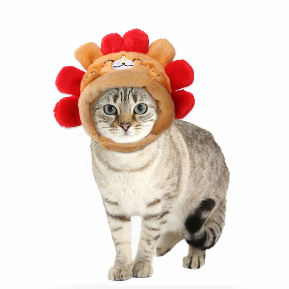 Curly Hair Funny Pet Hat