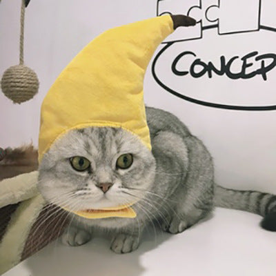 Curly Hair Funny Pet Hat