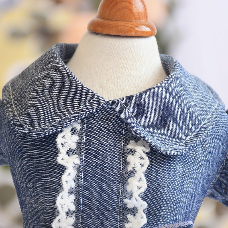 Summer Dress New  Denim Flying Sleeve Dress