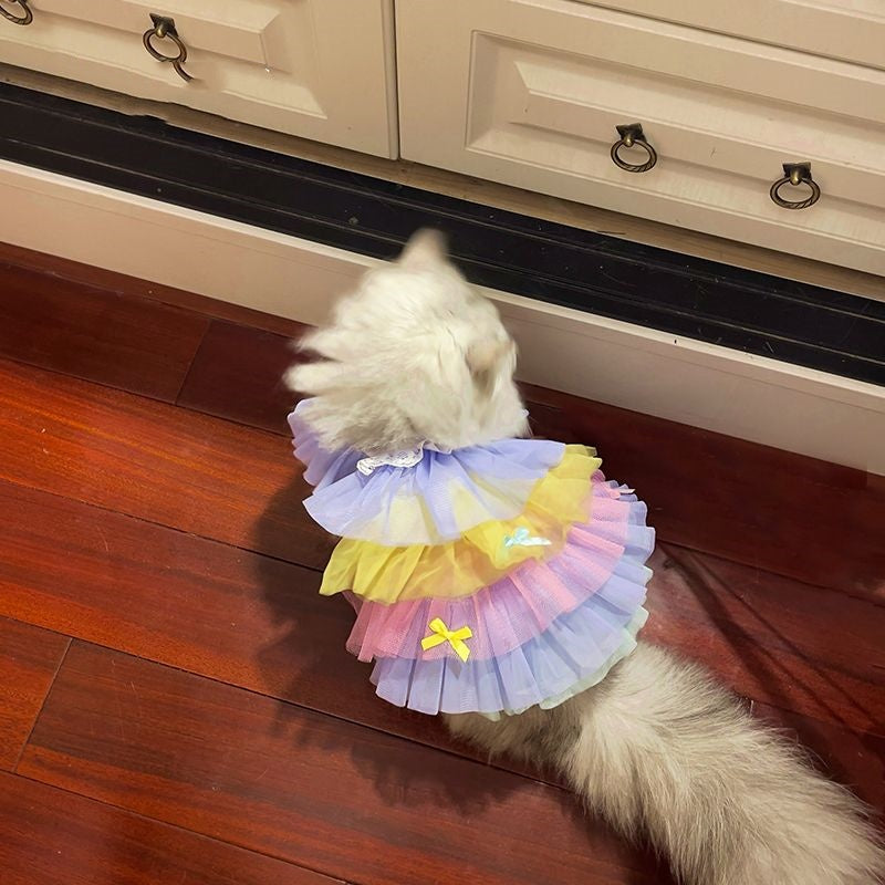 Cat  Dog Lace Mesh Dress