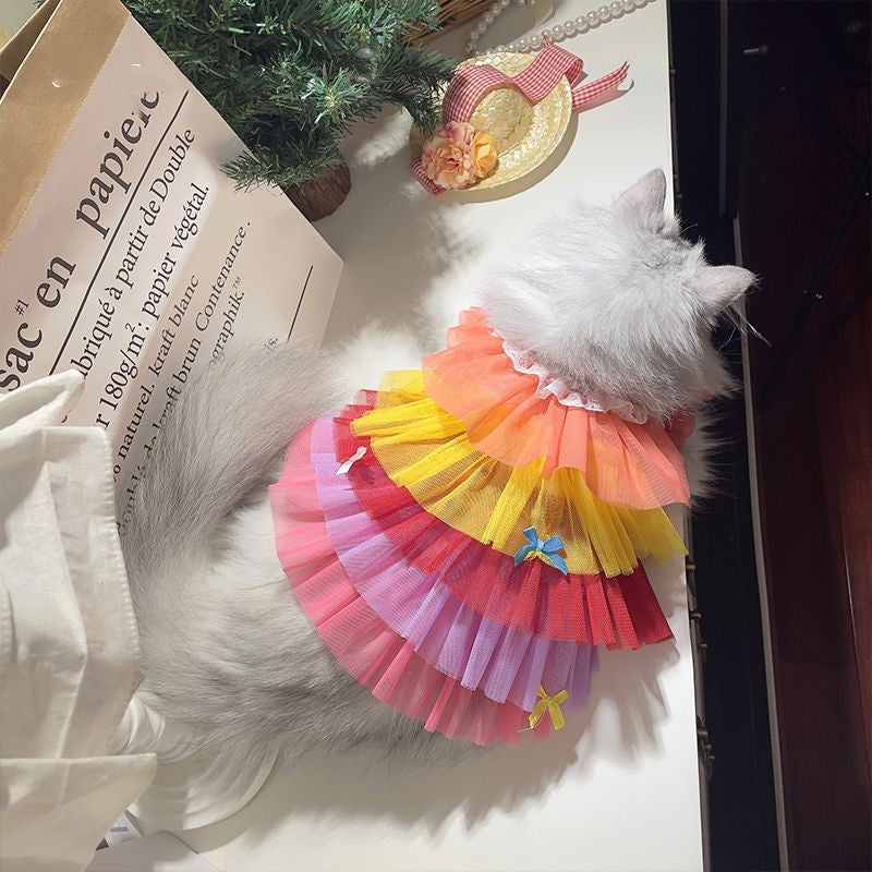 Cat  Dog Lace Mesh Dress