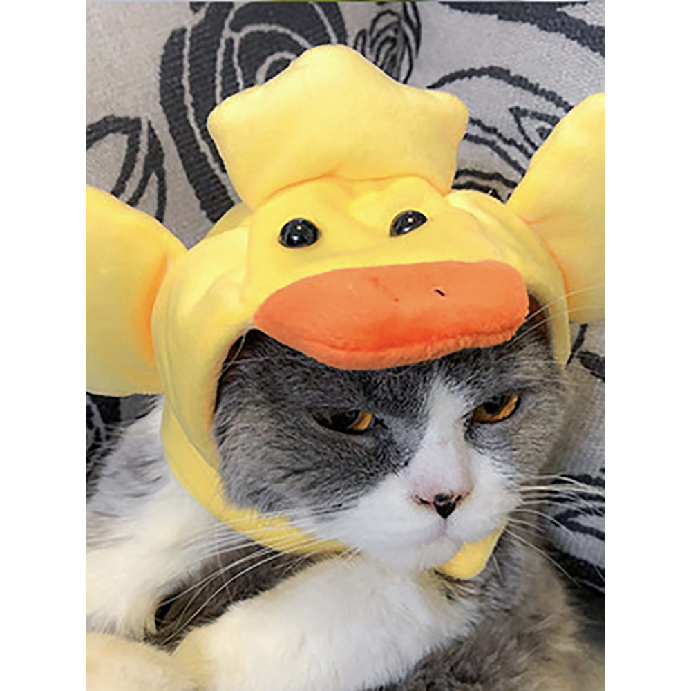Curly Hair Funny Pet Hat