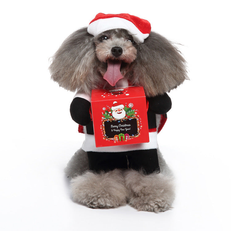 Multi-Style Pet Costume Set