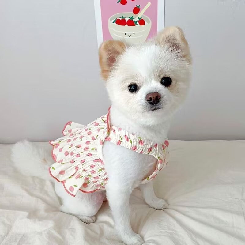 Cat & Dog Summer Halter Skirt