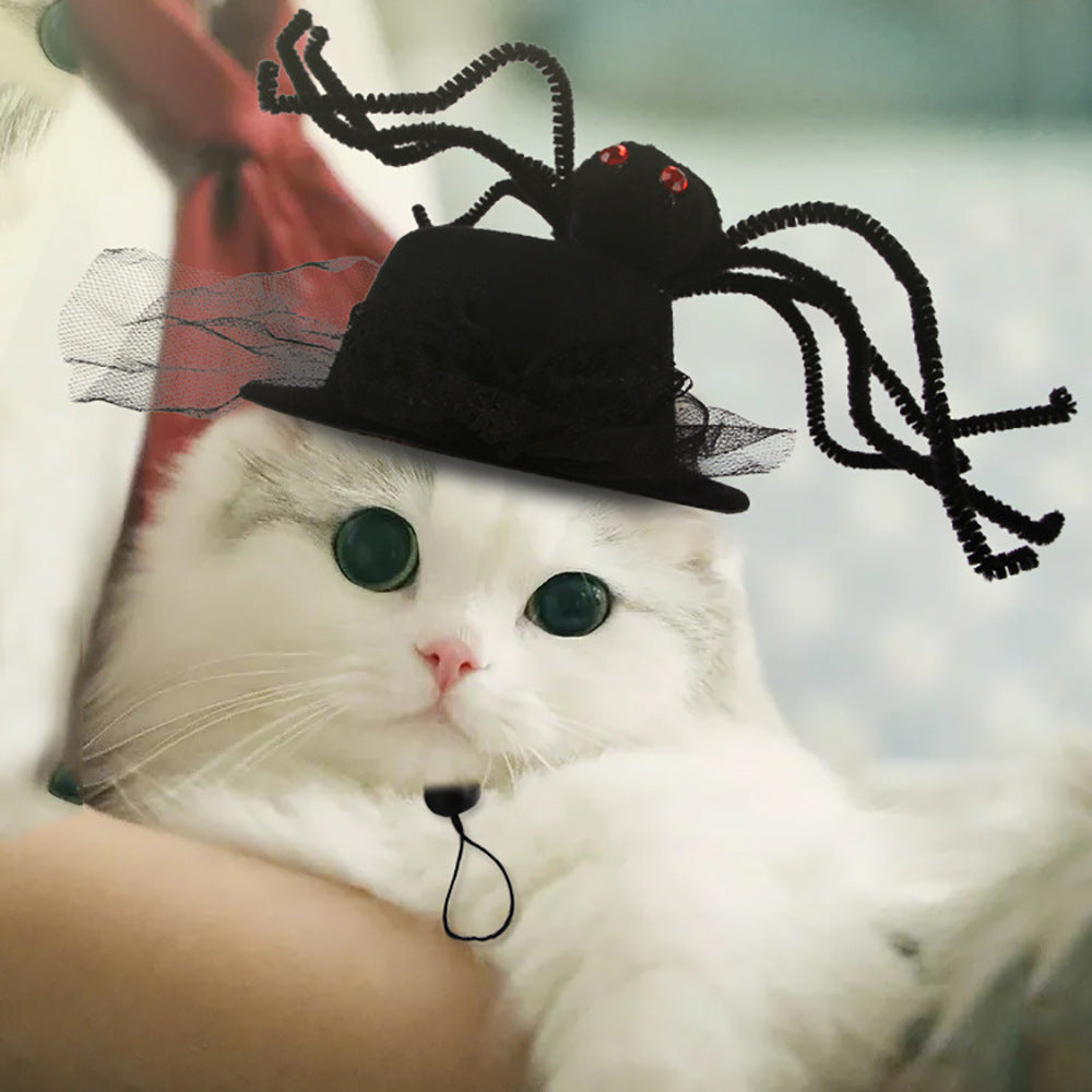 Curly Hair Funny Pet Hat