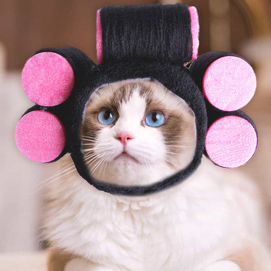 Curly Hair Funny Pet Hat