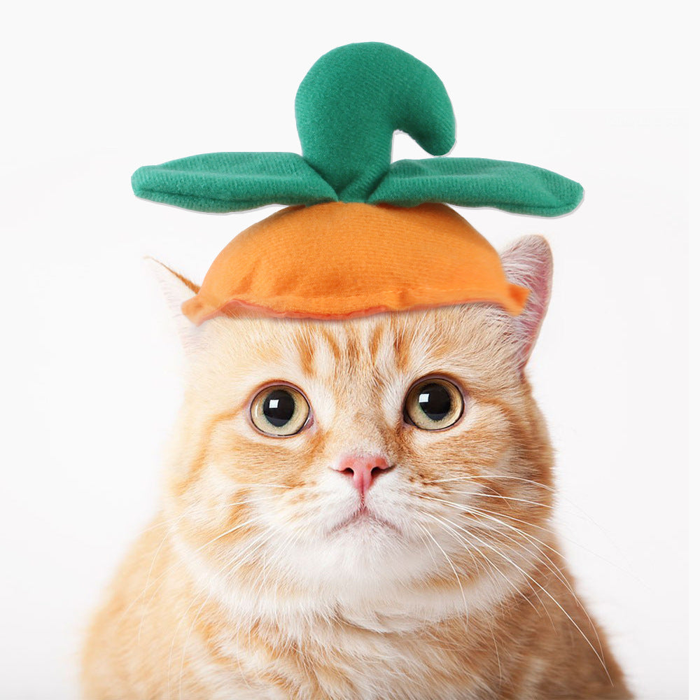 Curly Hair Funny Pet Hat
