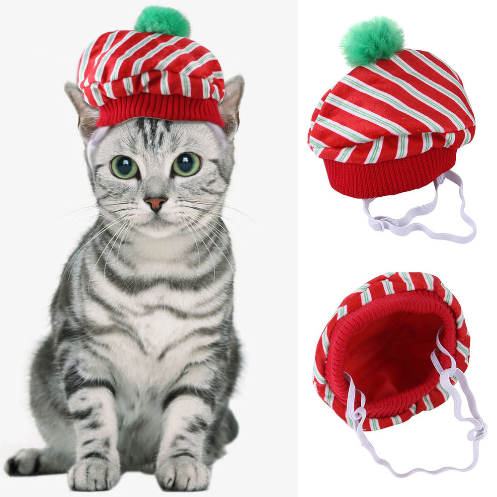 Curly Hair Funny Pet Hat