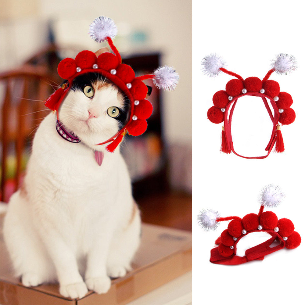 Curly Hair Funny Pet Hat