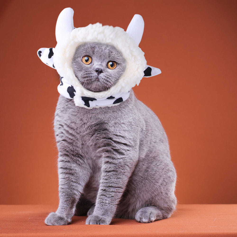 Curly Hair Funny Pet Hat