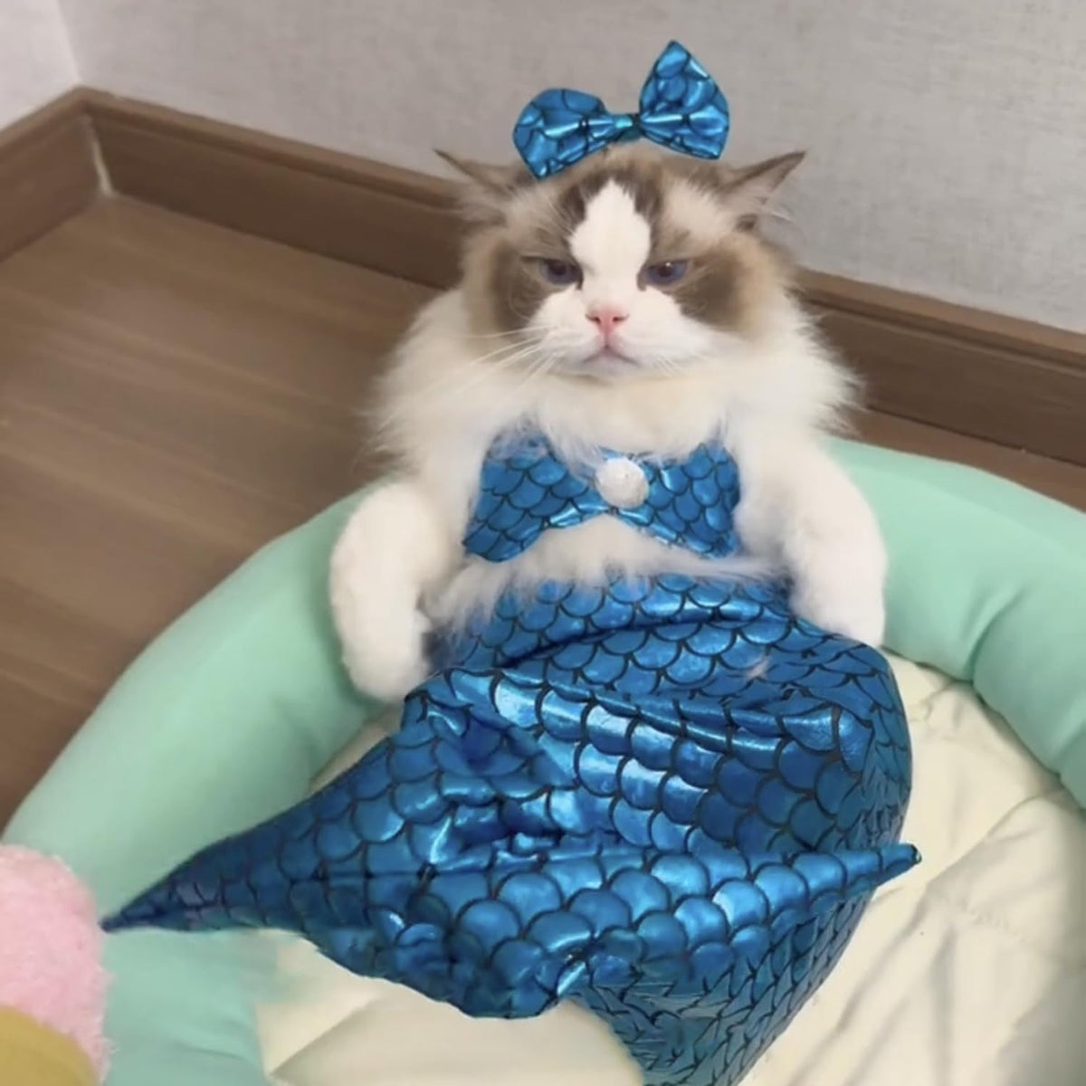 Cat & Dog Mermaid Costume