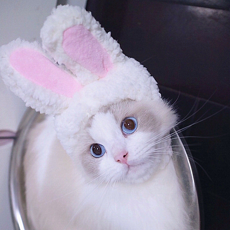 Curly Hair Funny Pet Hat