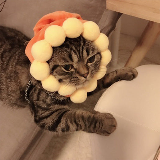 Curly Hair Funny Pet Hat