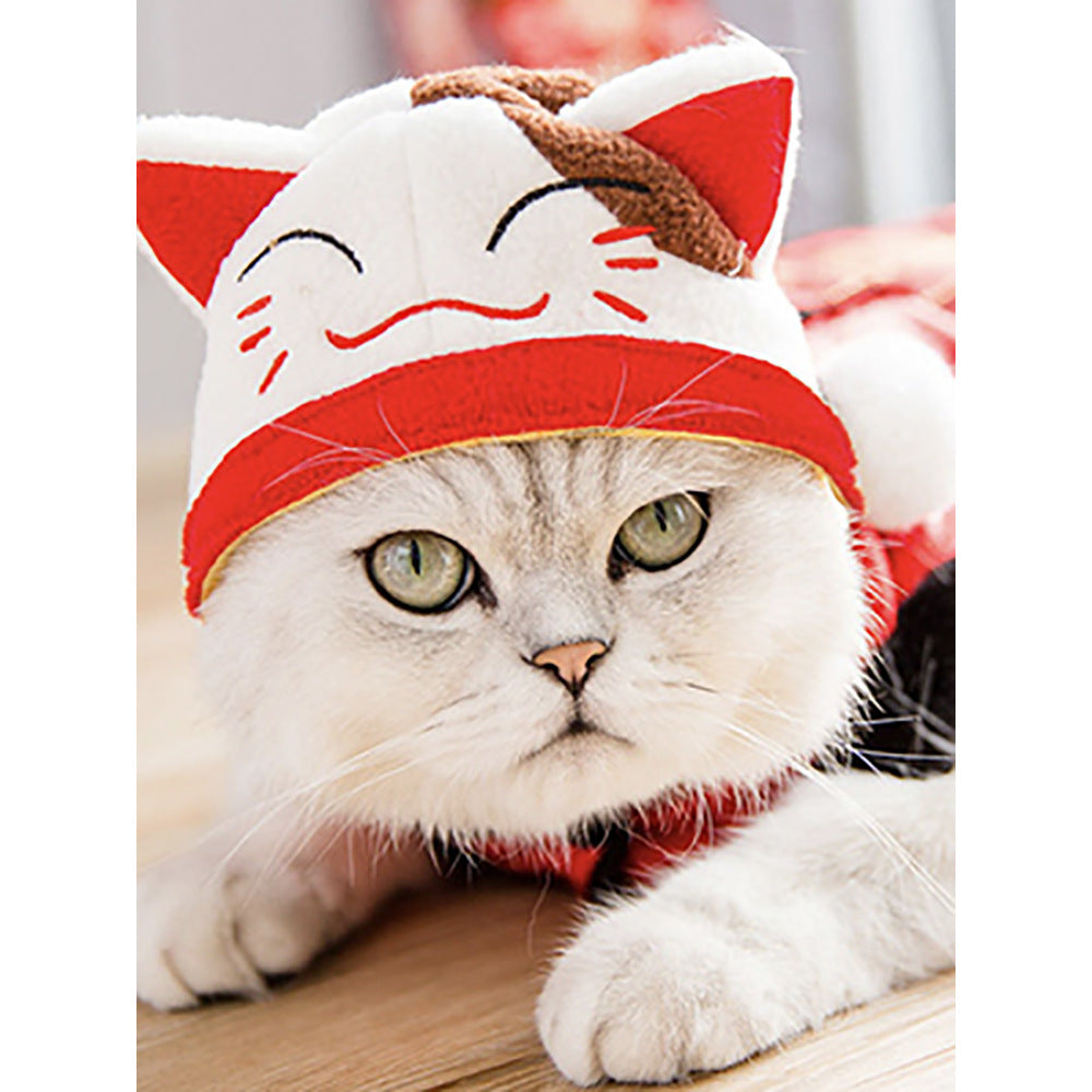Curly Hair Funny Pet Hat