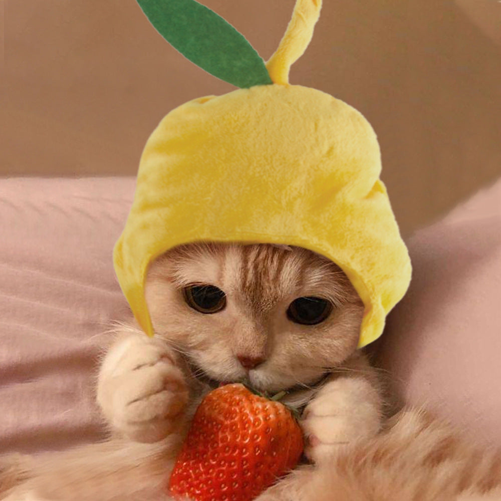 Curly Hair Funny Pet Hat