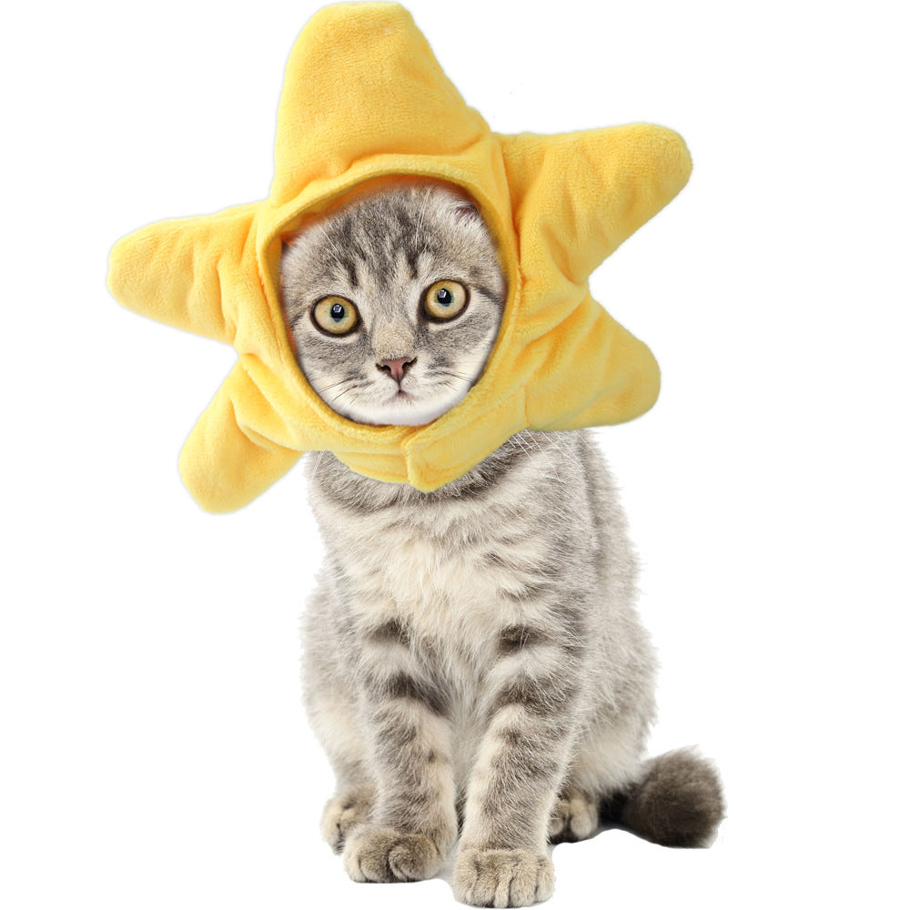 Curly Hair Funny Pet Hat