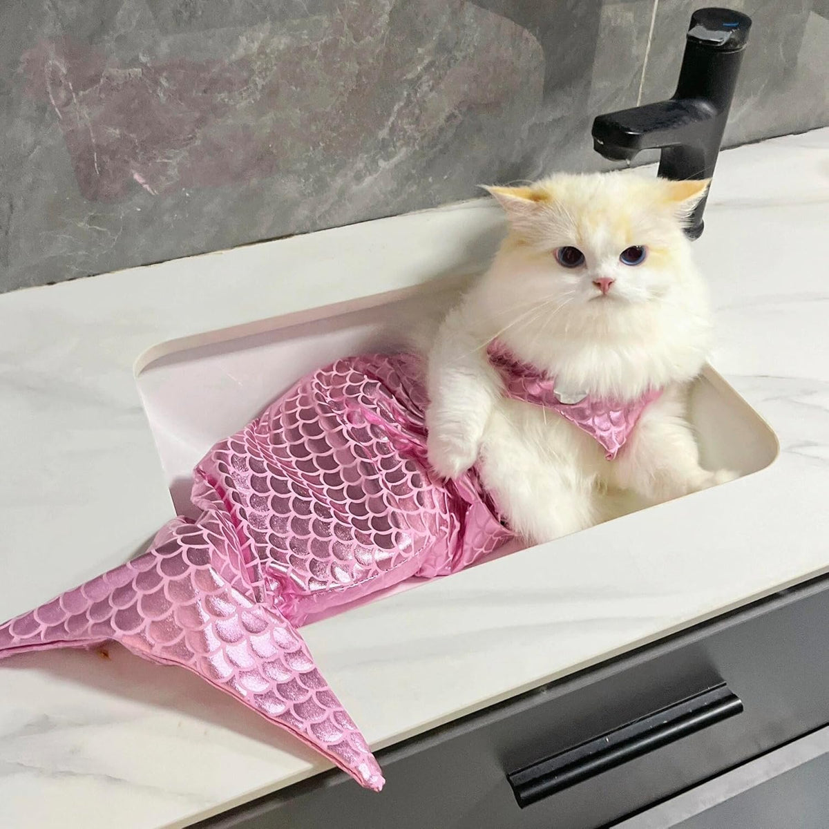 Cat & Dog Mermaid Costume