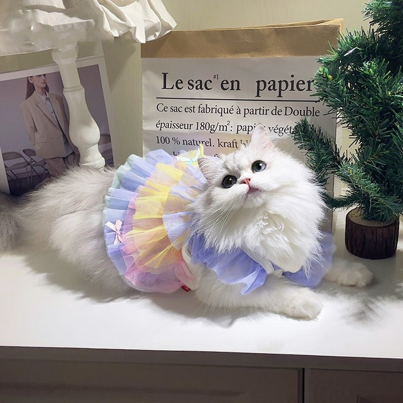 Cat  Dog Lace Mesh Dress