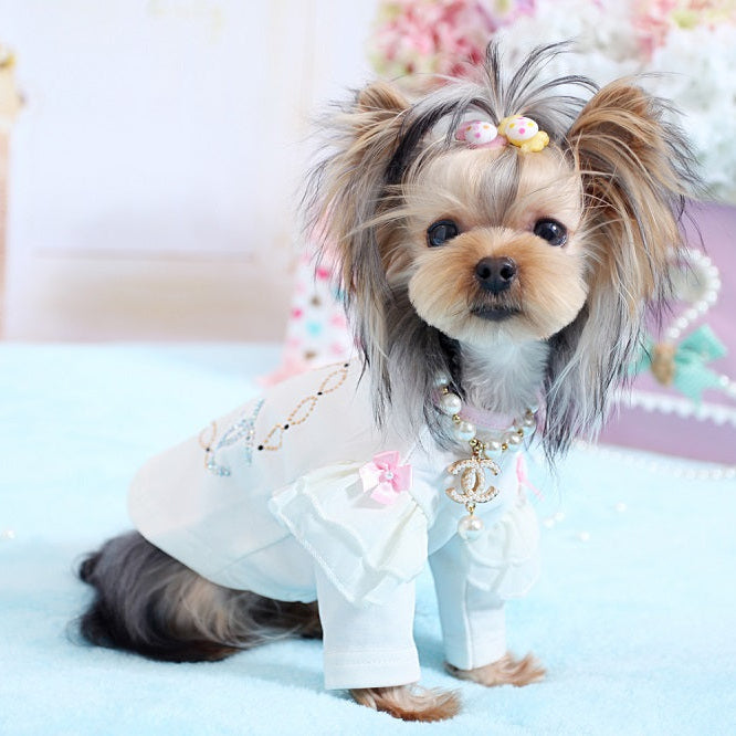 Crown and Pearl Pet Necklace