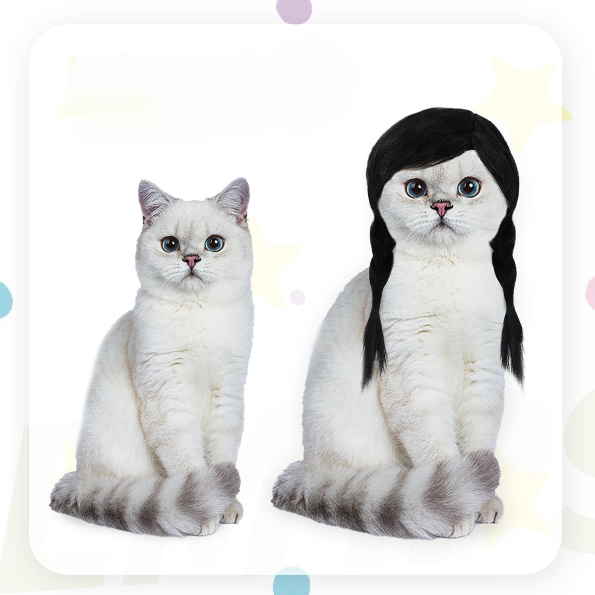 Pet Costume Wig