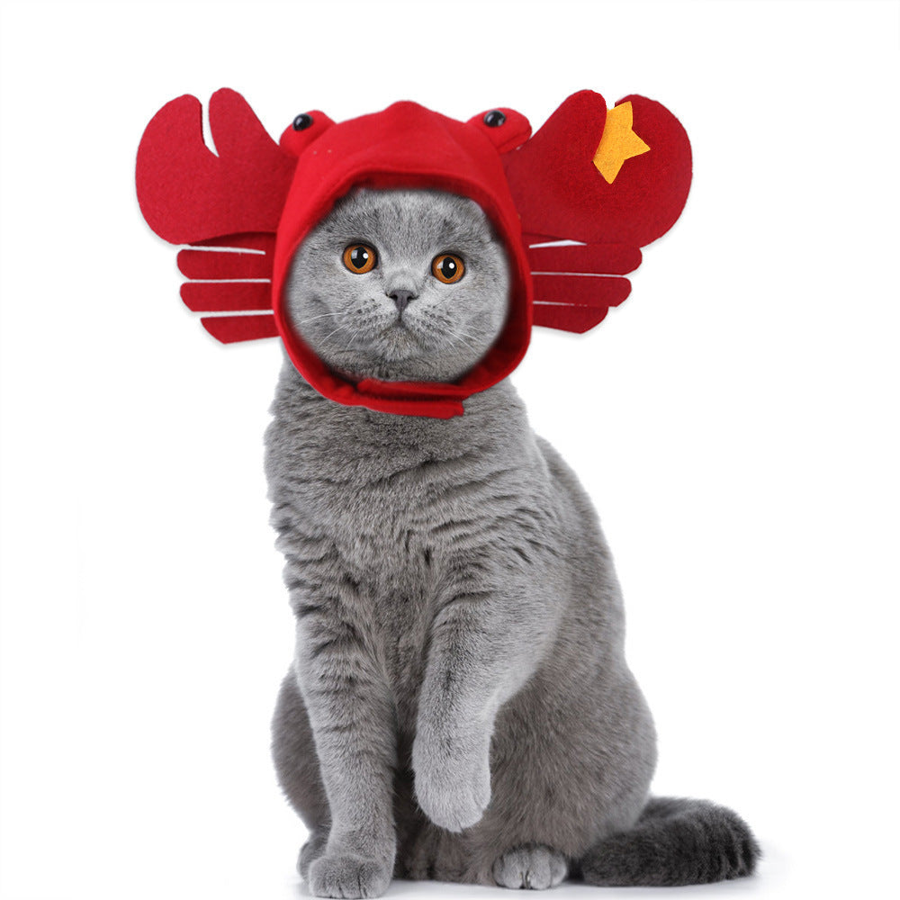Curly Hair Funny Pet Hat