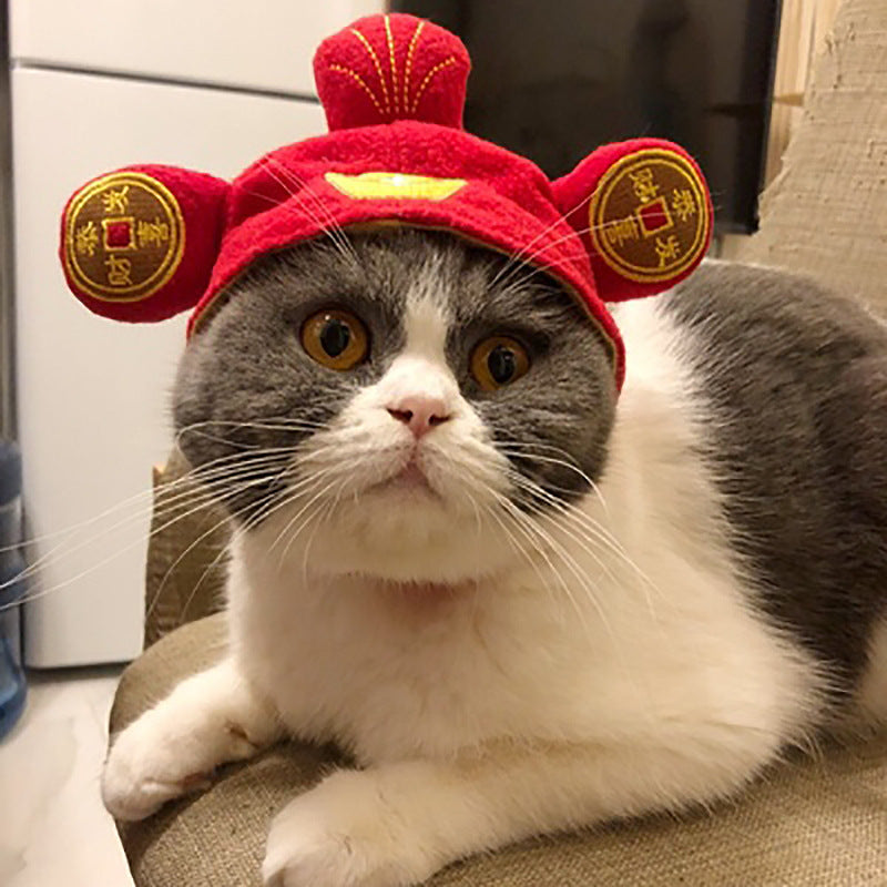 Curly Hair Funny Pet Hat