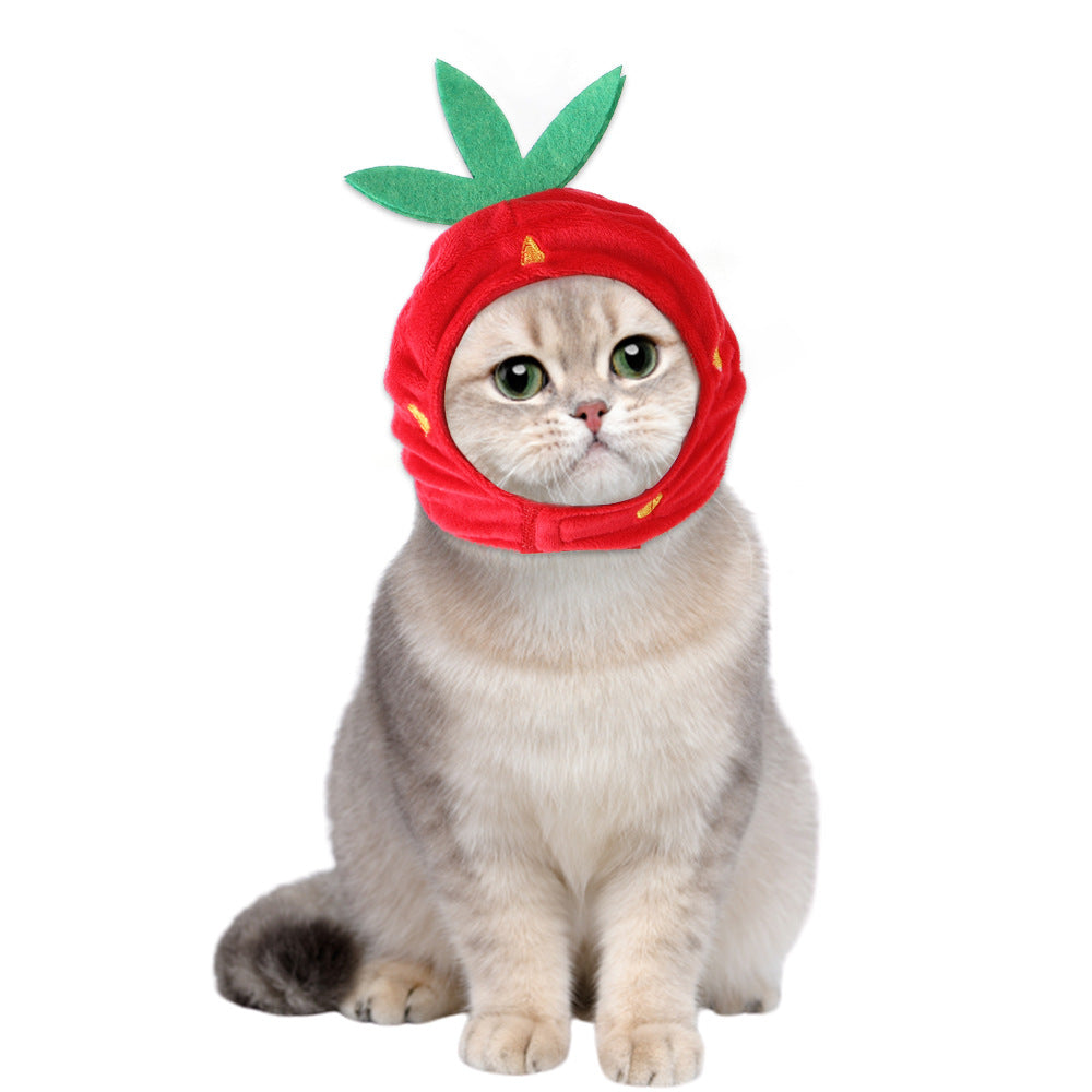 Curly Hair Funny Pet Hat