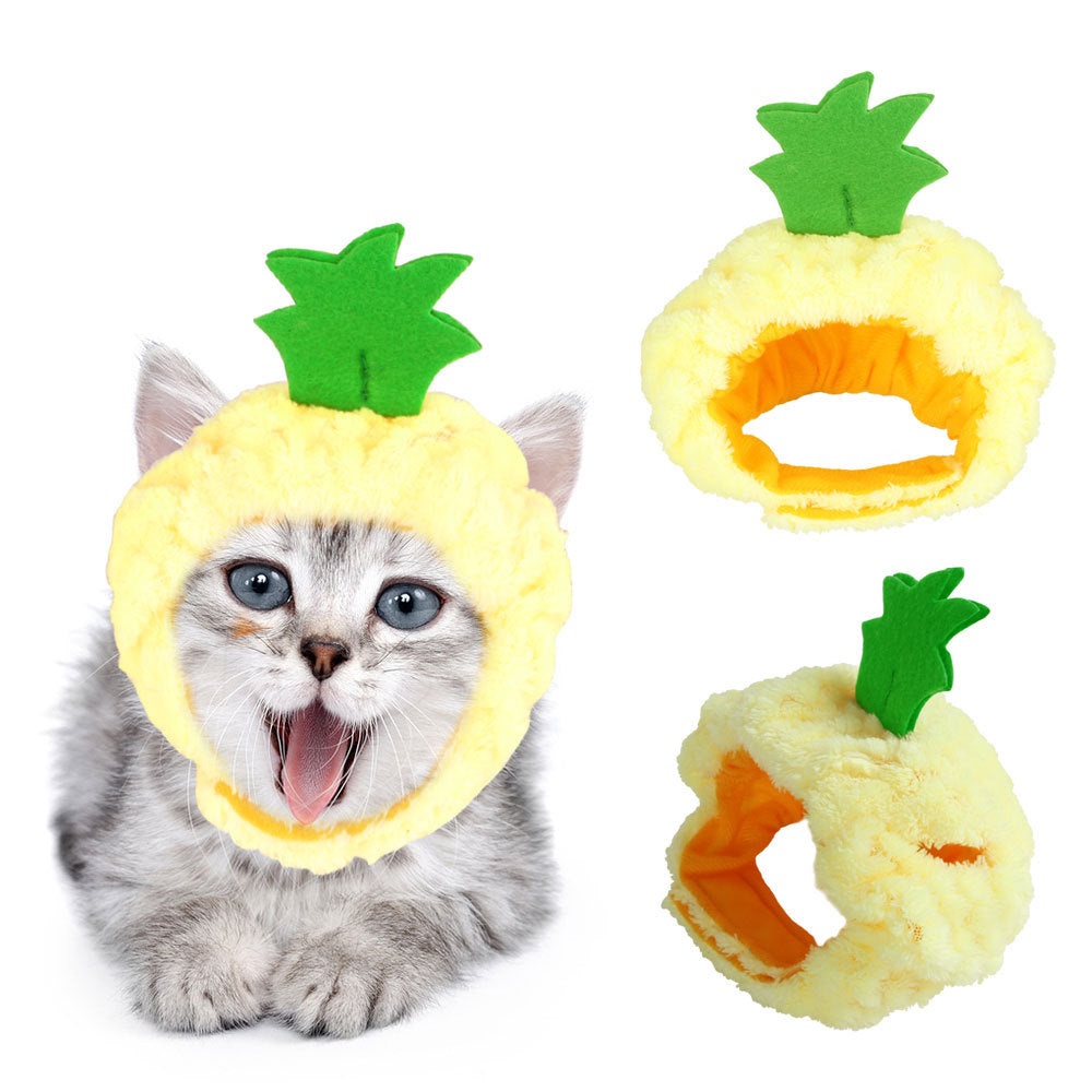 Curly Hair Funny Pet Hat