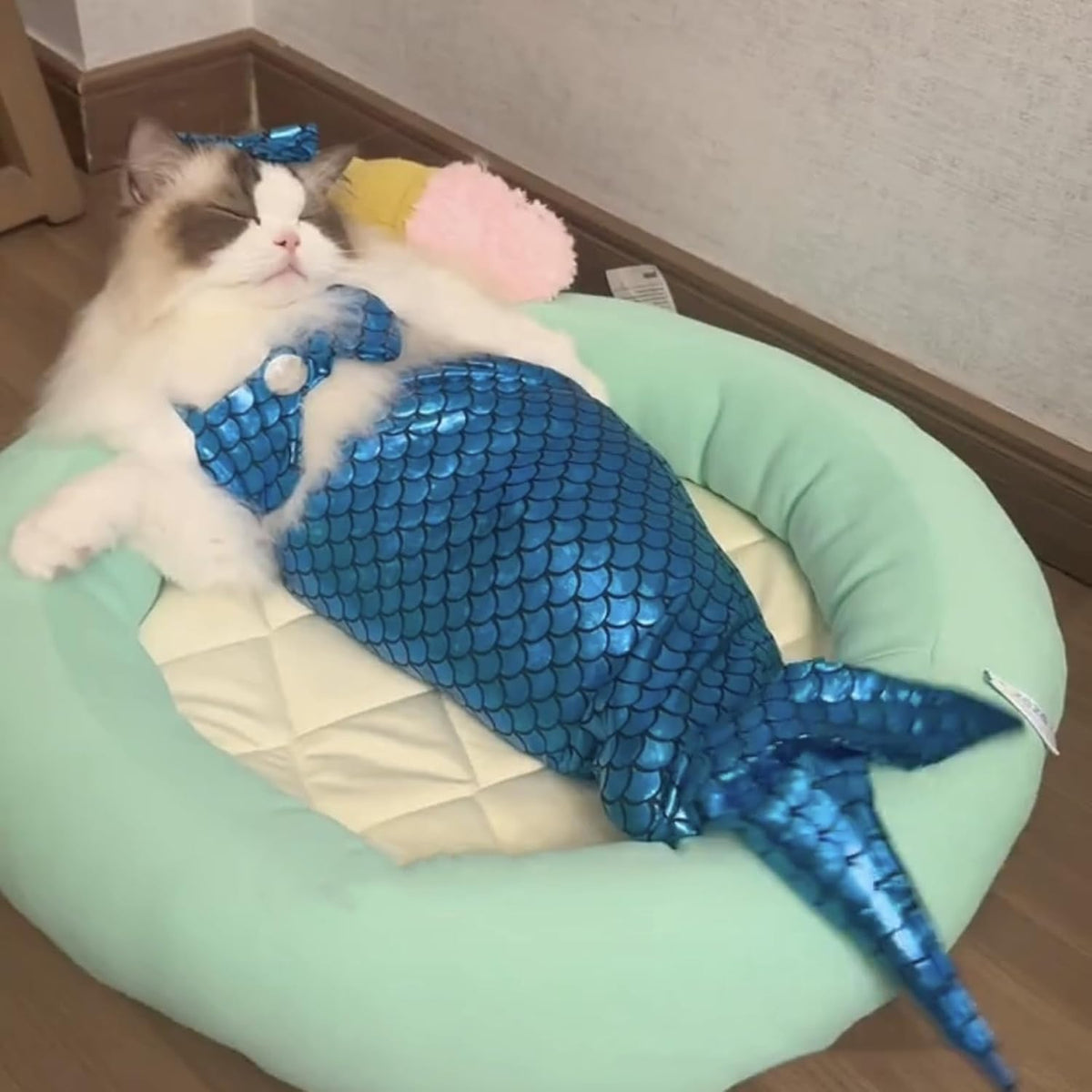 Cat & Dog Mermaid Costume
