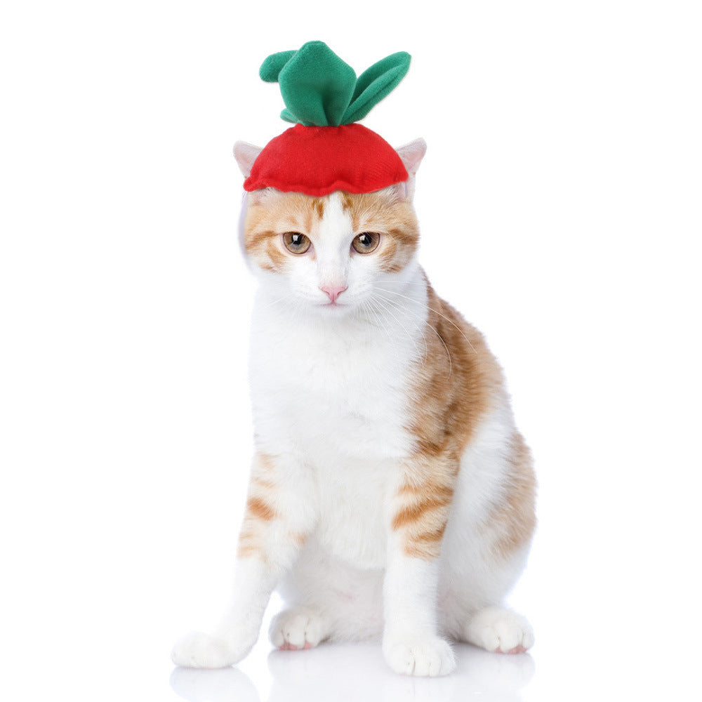 Curly Hair Funny Pet Hat