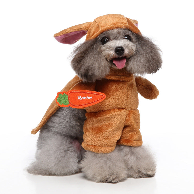 Multi-Style Pet Costume Set