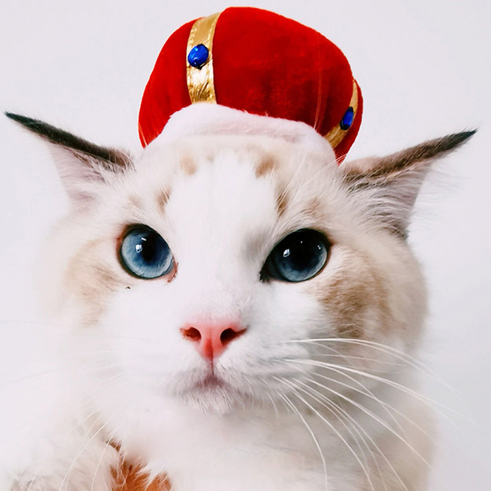 Curly Hair Funny Pet Hat