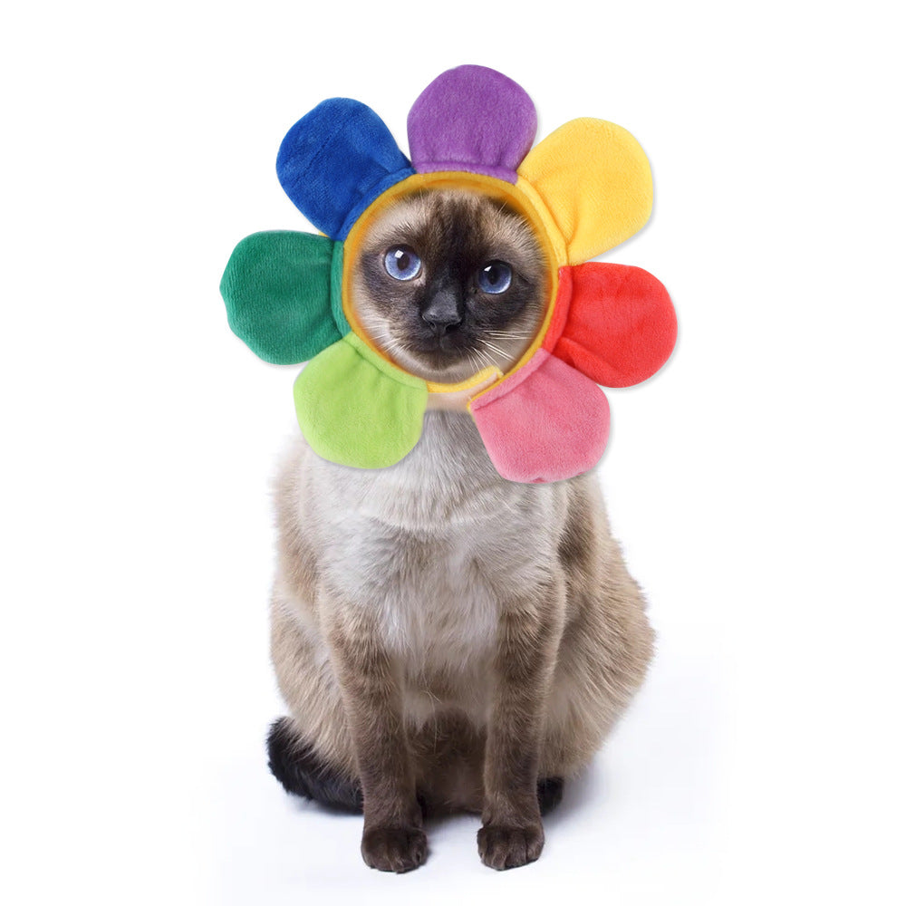 Curly Hair Funny Pet Hat