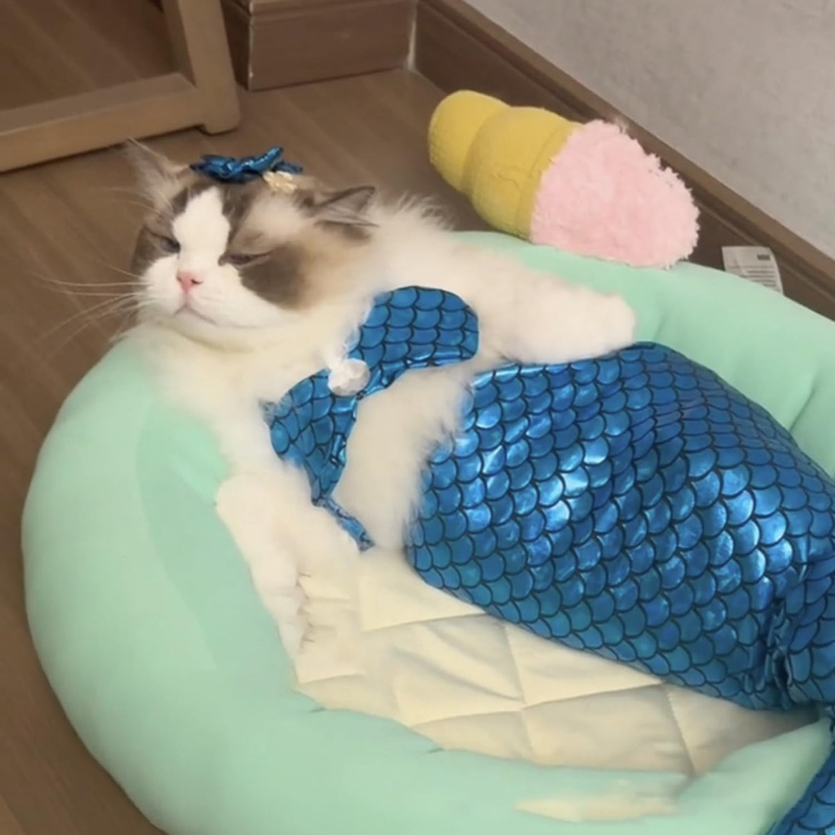 Cat & Dog Mermaid Costume